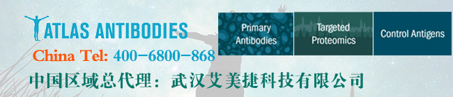 Atlas-antibodiesbest365官网登录联系方式