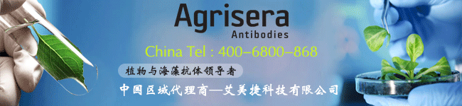 Agirsera中国的区域总代理，best365官网登录
科技有限公司