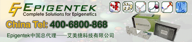 epigentek代理商best365官网登录
科技有限公司